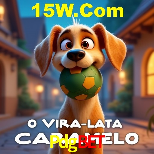 PIX Instantâneo Pdgbet